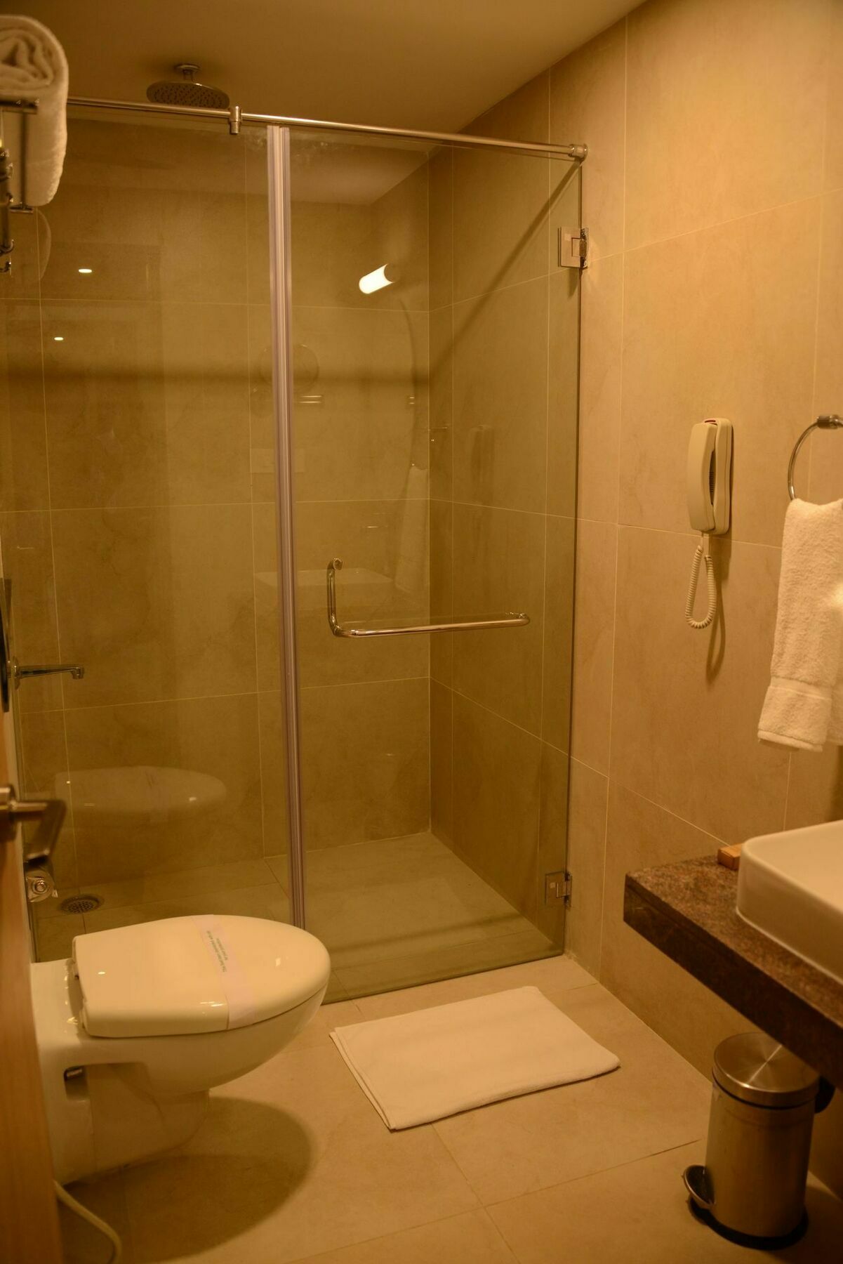 Blu Iris Otel Chennai Dış mekan fotoğraf